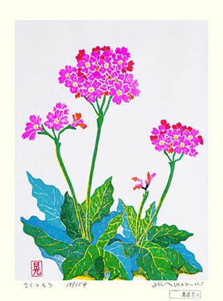 photo20.jpg