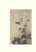 photo39_small.jpg