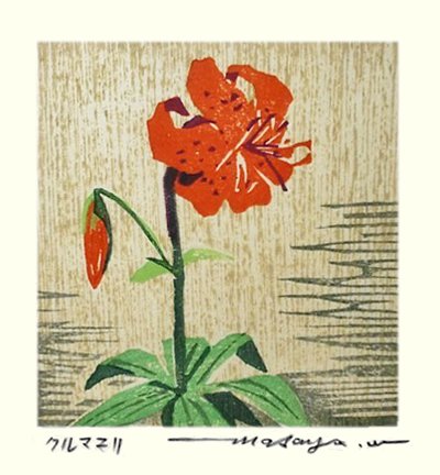 photo55.jpg