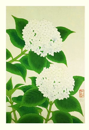 photo60.jpg