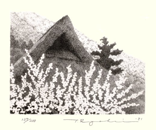 photo55.jpg