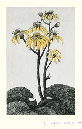 photo64.jpg