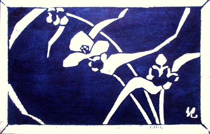 photo25.jpg
