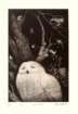 photo31_small.jpg