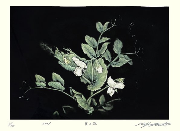 photo33.jpg