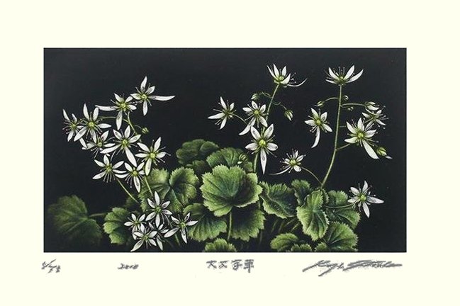 photo34.jpg